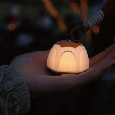 Acompanha Luz de Barraca